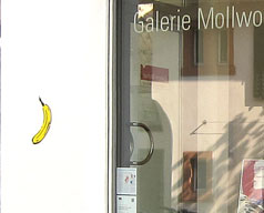 Mollwo Baumgärtel Banane